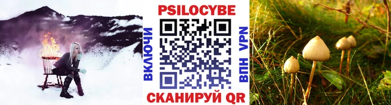 Псилоцибиновые грибы MAGIC MUSHROOMS Калачинск